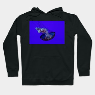 Floating Jellyfish Hoodie